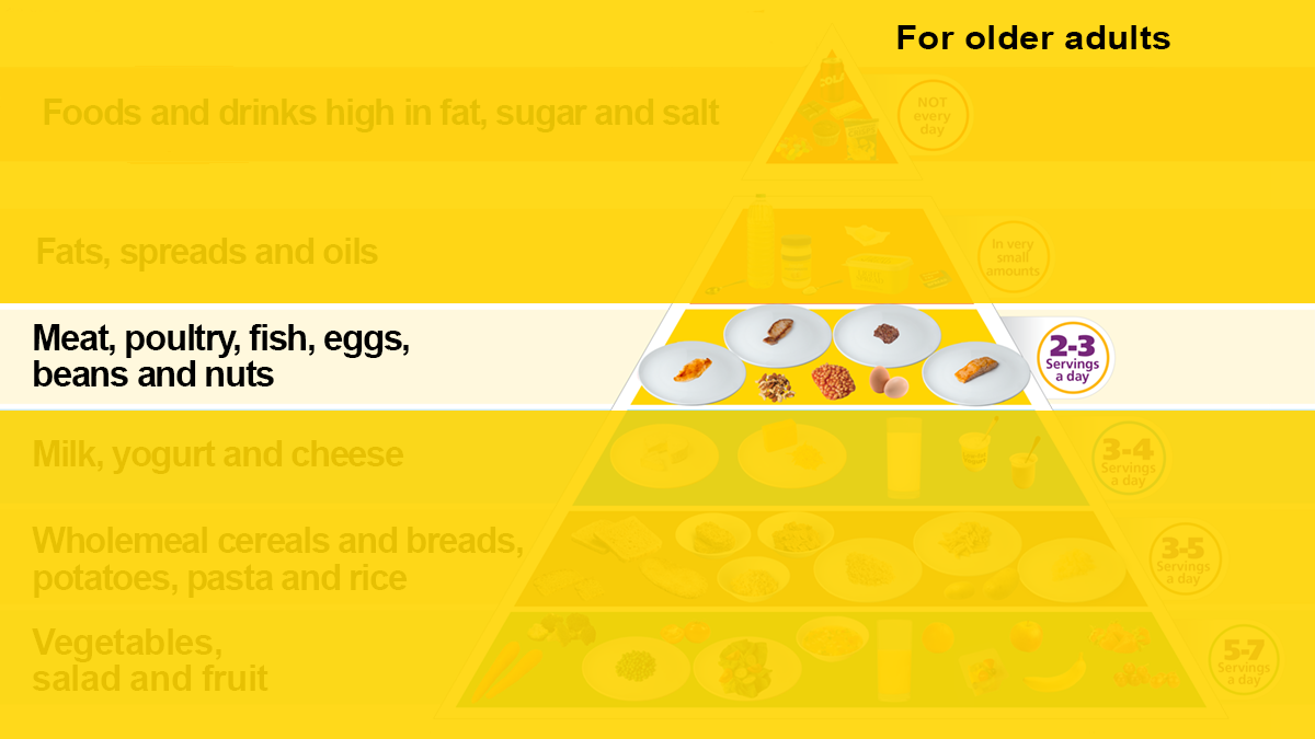 Meat, poultry, fish, eggs, beans and nuts